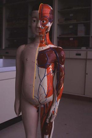 沼田市内で子宮がん検診を行おうとされている主婦は