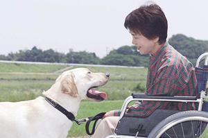 練馬区で経費内視鏡ができるクリニック