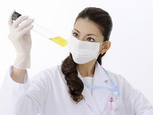 みなとみらいで胃カメラ検査を受けるなら知っておきたい最新情報と安心の受診ガイド【2025年最新版】