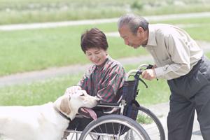 広島市南区でおススメの消化器内科