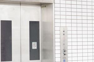 石神井の病院で行える大腸内視鏡検査