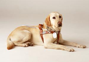 レディースクリニックを受診したい時には