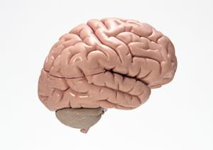 福岡市東区の内科クリニックで信頼関係を築く方法とは？