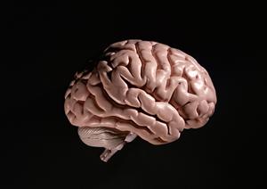 インプラント治療を安い費用で行う黒崎駅近の歯科医院