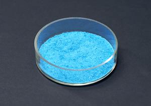 豊平区における胃カメラ検査について