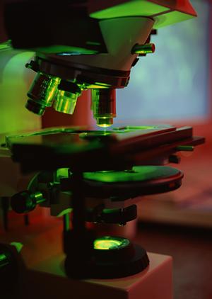 日本橋の内科クリニック徹底ガイド｜アクセス・診療内容・安心の医療環境