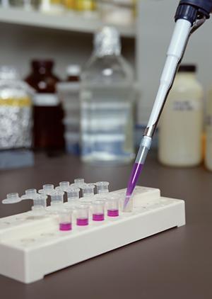 花見川区での透析治療選びに最適な病院ガイド：安心できる医療サービスとは？