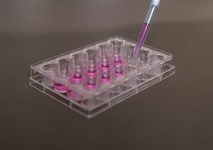 【2025年最新版】広島市で内視鏡検査をお考えの方へ！信頼できるクリニックと最新設備の完全ガイド