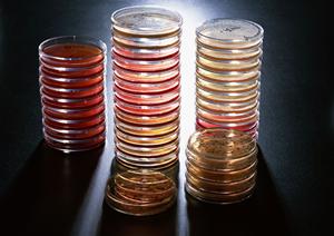 「横浜での胃カメラ検査を徹底解説！予約方法から痛みのリスクまで安心ガイド」