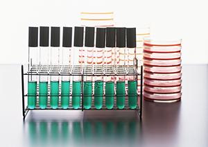 小倉の整形外科を徹底解説！2026年最適な診療所と最新治療法