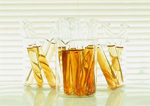 安心と信頼の京都産婦人科！高品質な医療とアットホームな雰囲気で安心の出産・婦人科ケアを提供します