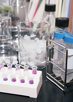 子供の虫歯を治療するなら伊丹市の歯医者